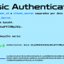 mk_basic_auth.png