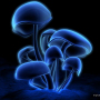 3d_006_medium_.jpg